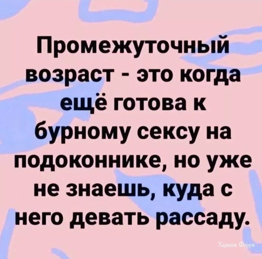 4d121e8e905491fcc307.webp