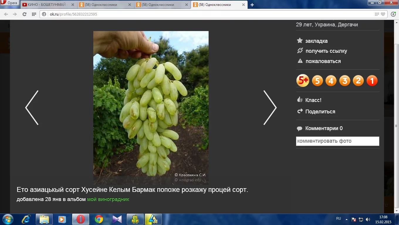 4d1800f170ef185528b00bf928db77e1.webp