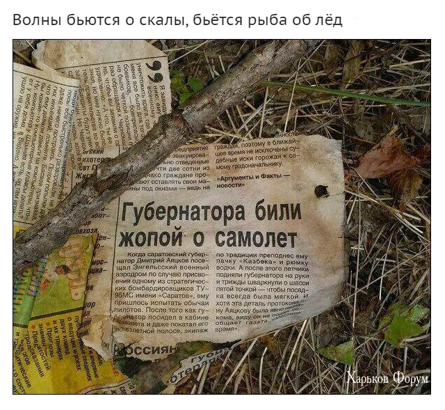4d1d482187175287ff4da07.webp