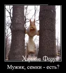 4d370230047f54fbf9.webp