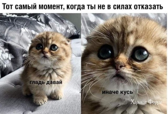 4d71713f390e2df8954.jpg
