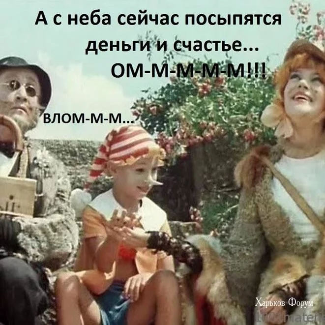 4d7da5495c913b65d62440a.webp