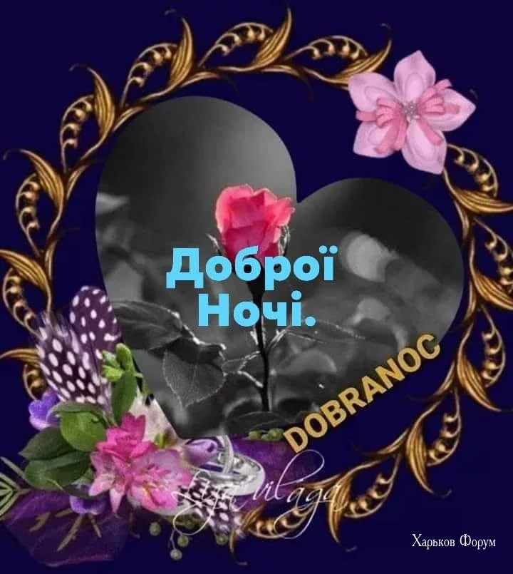 4d8e64a153f0784939864b9.webp