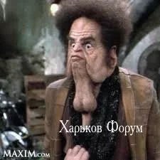 4d9faee5ebddca09.webp