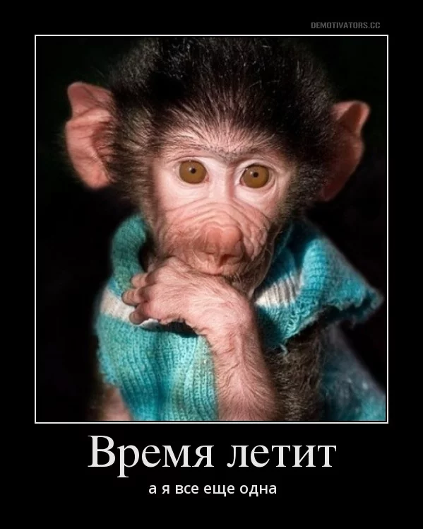 4db0bb22bb8b08b2bae0c4c01c451cd0.webp