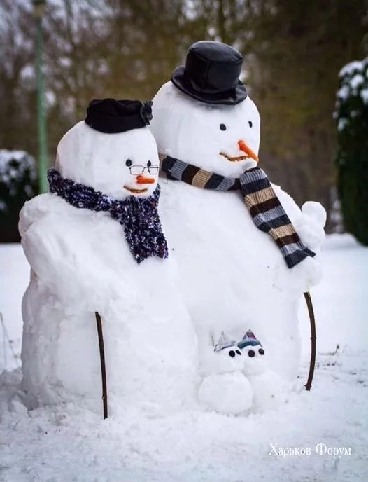 4db120327c96be5661fd5.webp