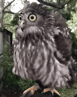 4db345693bb6f631c5.gif
