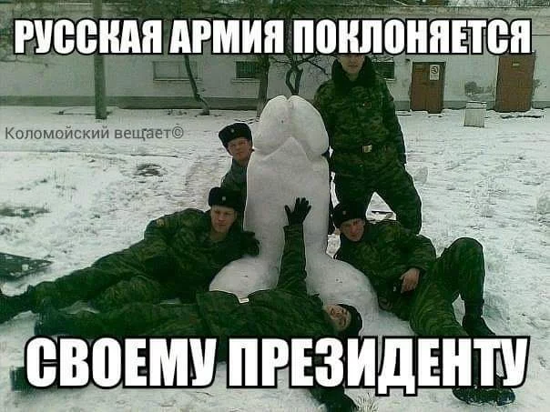 4dbbcd.webp