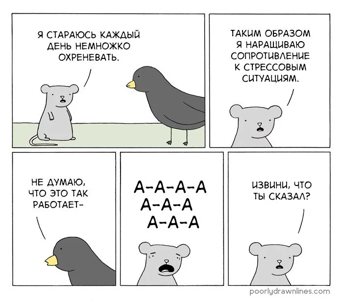 4dbjdd.webp