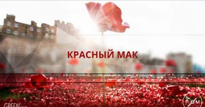 4dc90d9ac37c4681283d0f4dd89fc635.webp