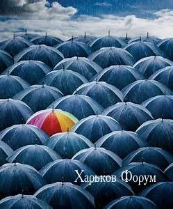 4dcede5082e82587baf10e.webp