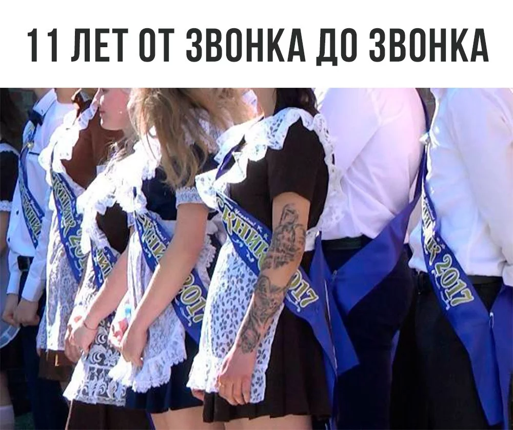 4dcfaa.webp