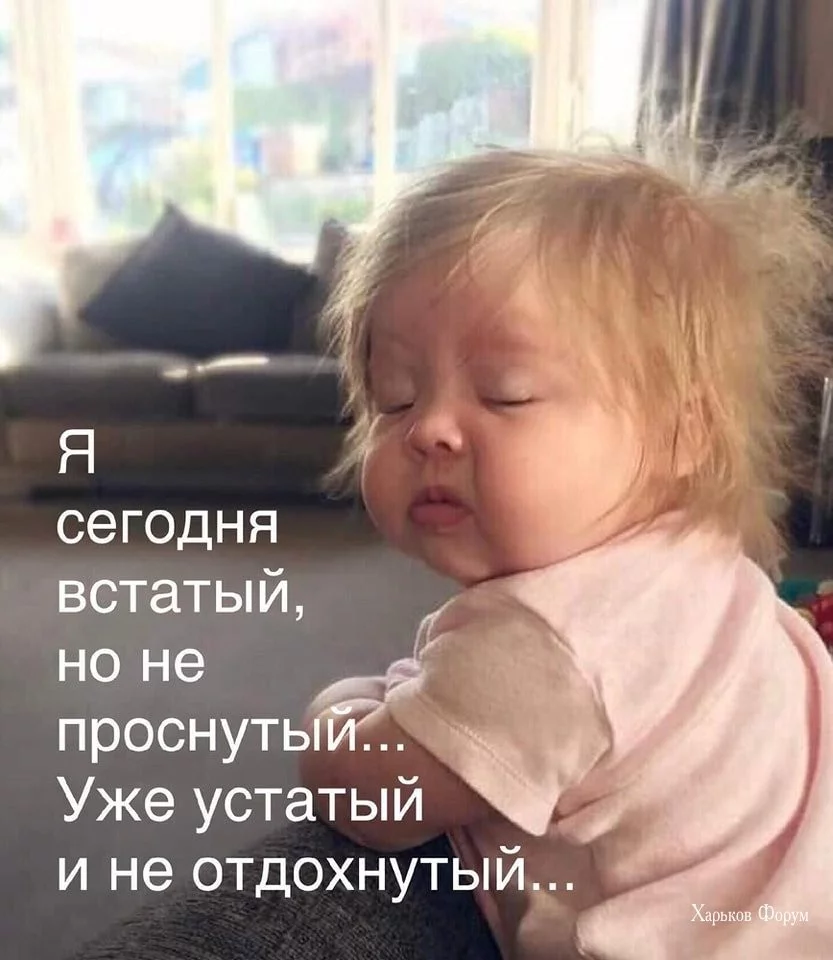 4dd151b79be313d7b.webp