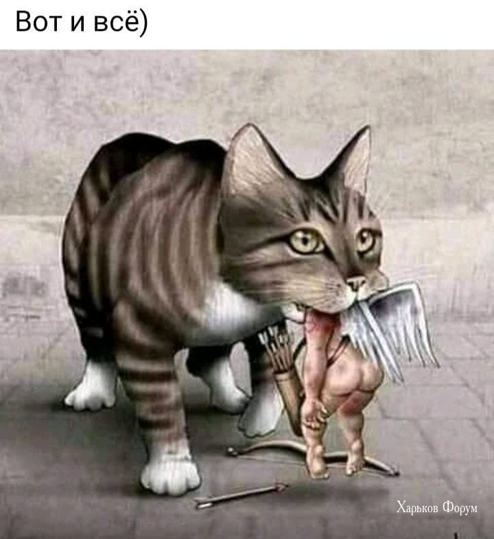4dd1b951d2b45bb21123.jpg