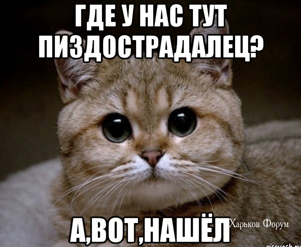 4dd7d64f1fc9a6754.png