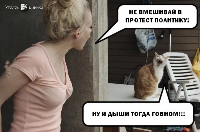 4ddhbe.webp