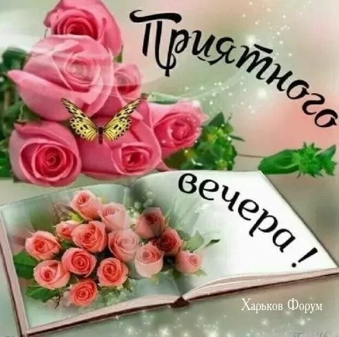 4de20a16963d1ced.webp