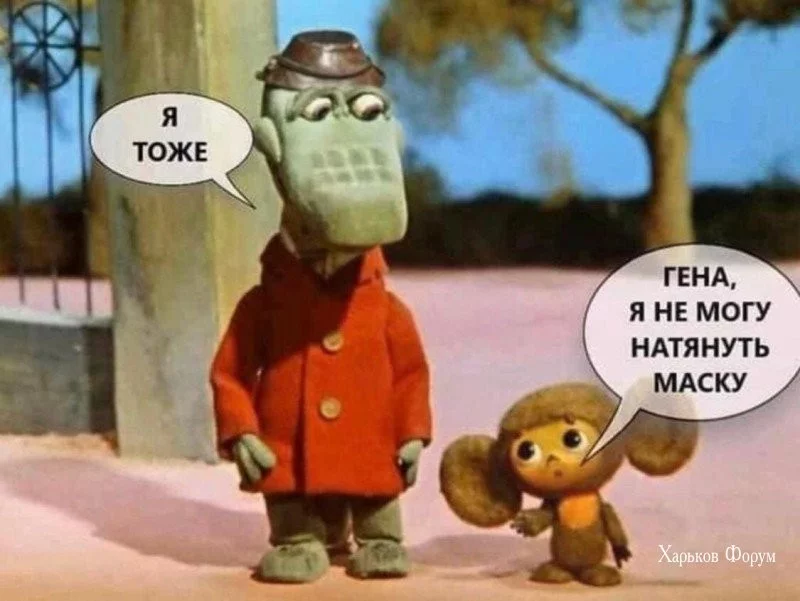 4de95c248771b09e9c87d844.webp