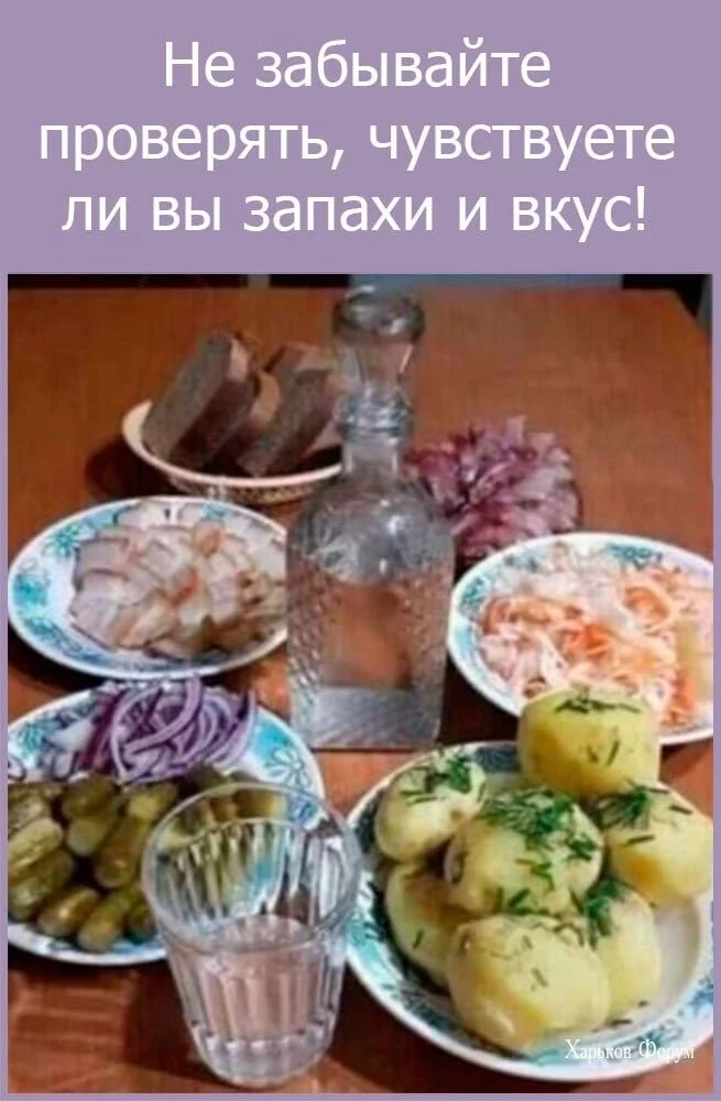 4df371af2aa3b85d.webp
