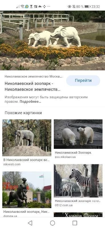 4dfb19c236d36447fe0084ac.webp