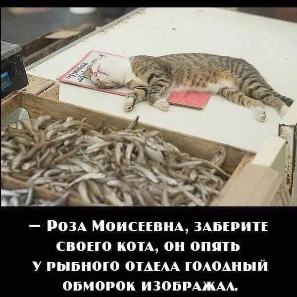 4dggjd.webp