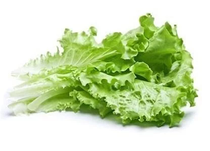 4djggd.webp