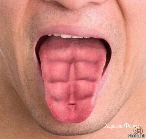 4e07286d68ca5e77fdeff.webp