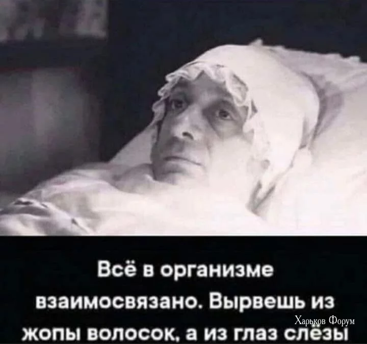4e074ab2661bd9f44c1a34.webp