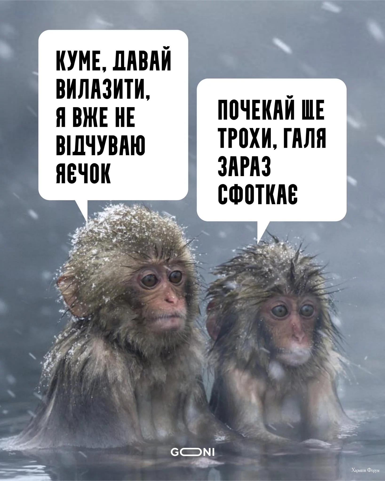 4e115deb66338bda4.webp