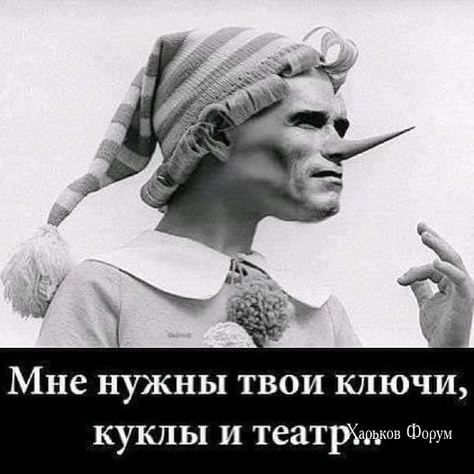 4e37fc271d3765e8.jpg