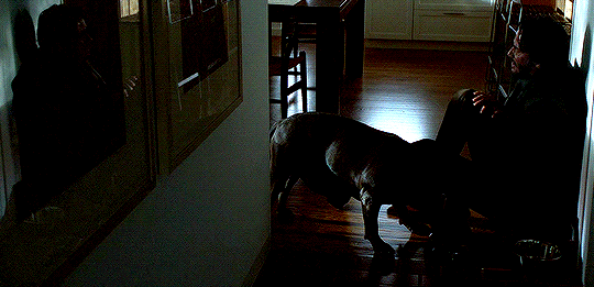 4e5e25547cb6d59260ccae1969d4ace60e550512.gif