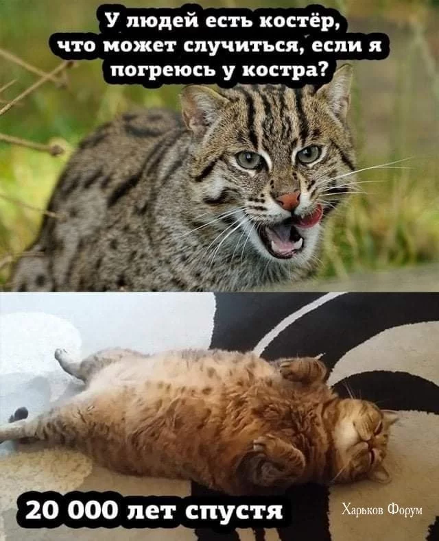 4e69a2b7944e8bea62c7.webp