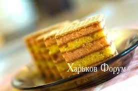4e6c8422eb2f4c9dd.webp
