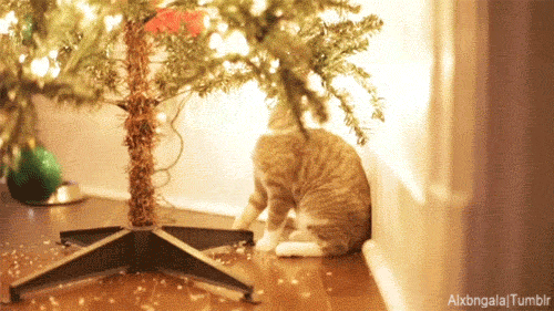 4ea378a32d1b8456ab29.gif