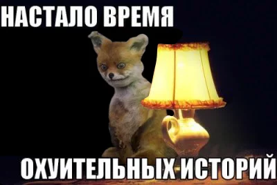 4eafaa.webp