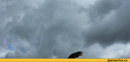 4eagac.gif