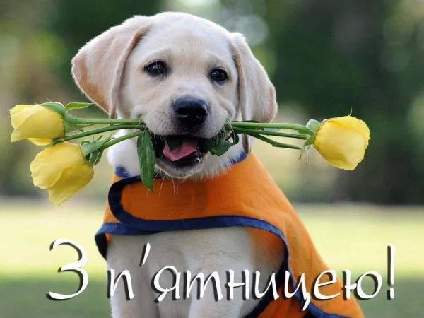 4ebbgh.webp