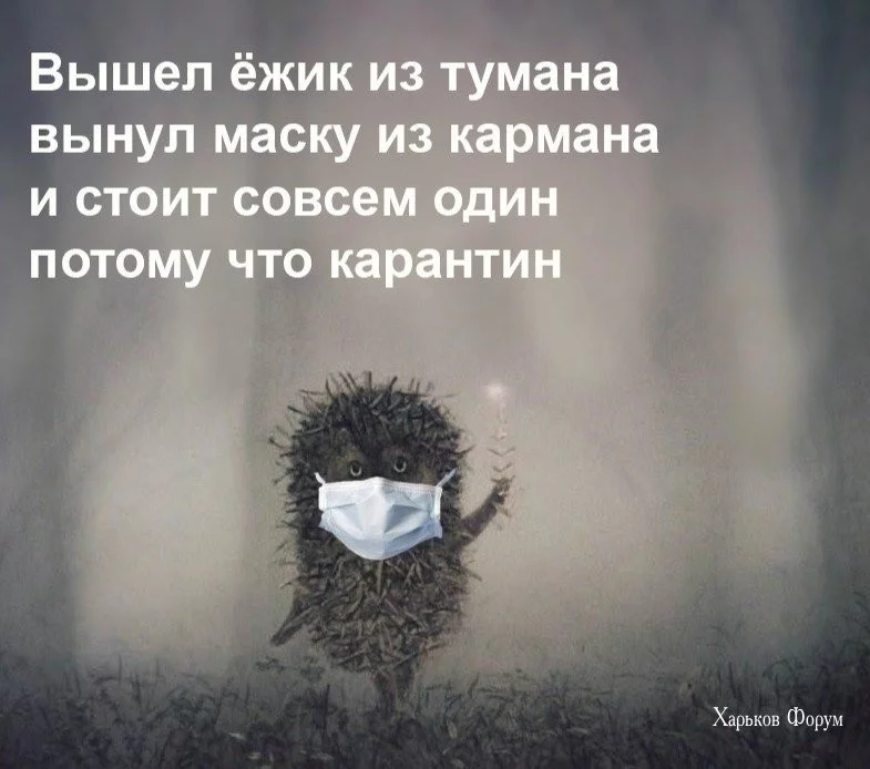 4ec826b1e61802939152c985.webp