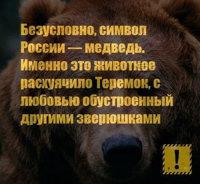 4ecddf.webp