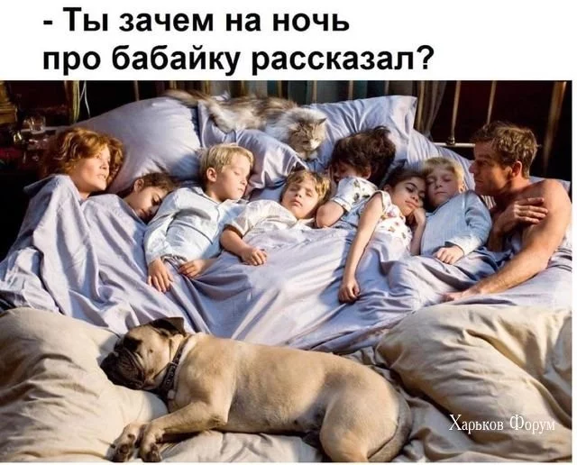 4ee497e9acfb53bd01c.webp
