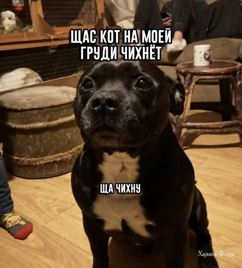 4eefdfca78dfd19b.png
