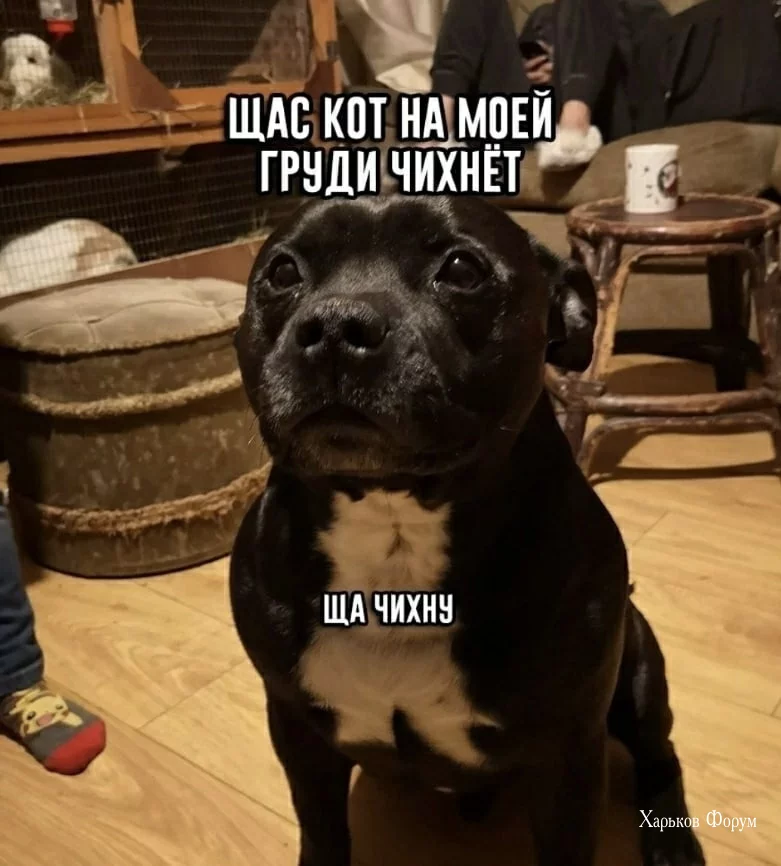 4eefdfca78dfd19b.webp
