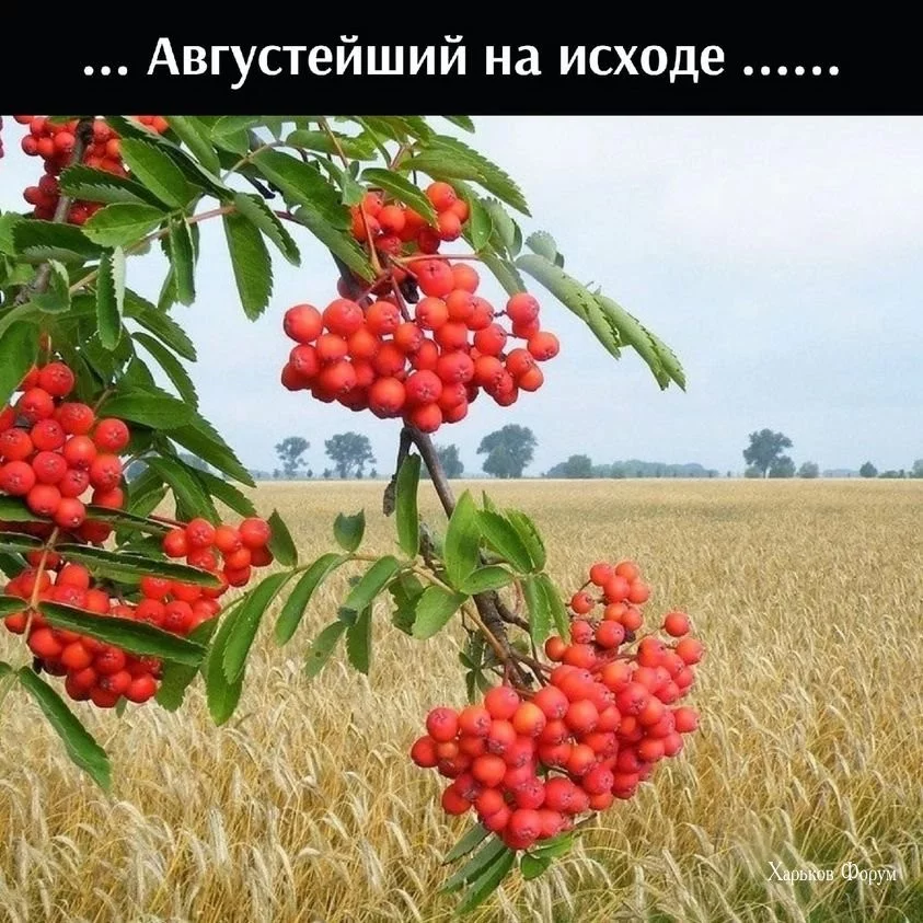 4ef63205cc18ea43da7a.webp