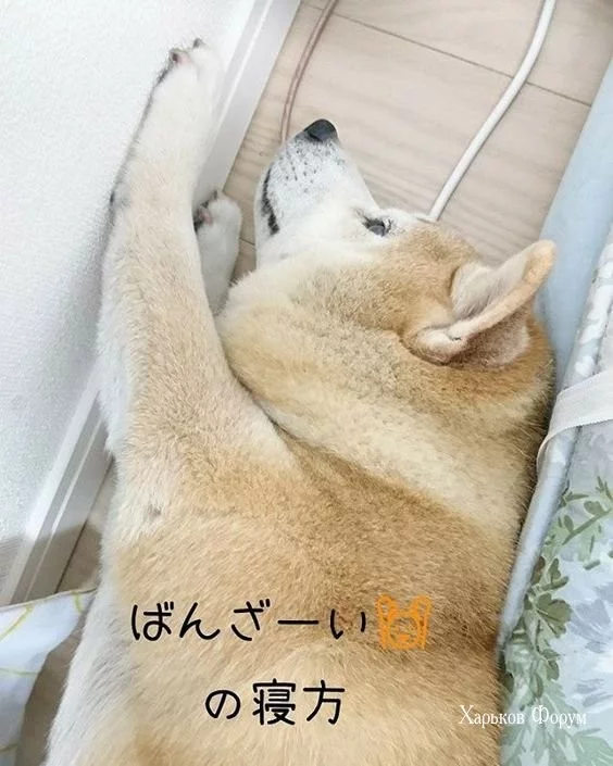 4ef9990a8d778bf9.webp