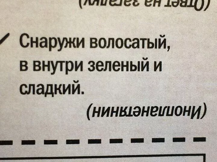 4efjfj.webp