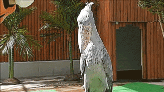 4f10f84271dd179abfa6a63c76e3c2a1.gif