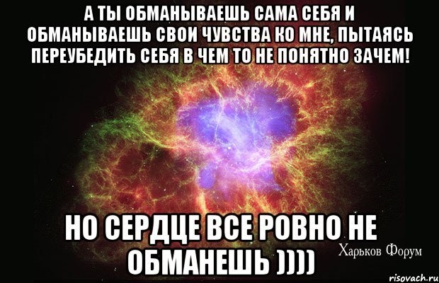 4f1c915d08335a100d9463.jpg