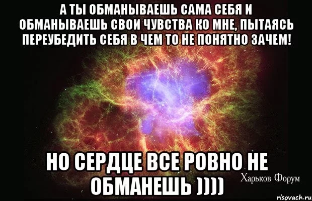 4f1c915d08335a100d9463.webp