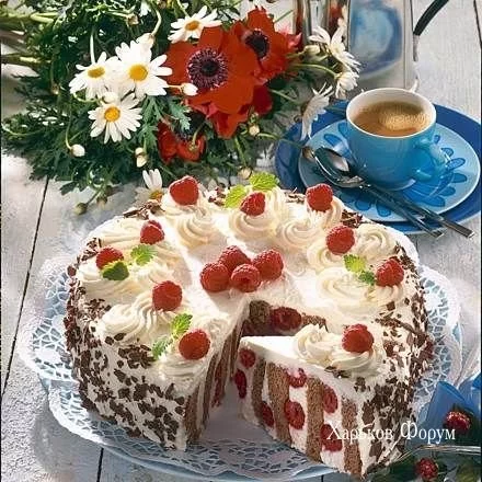 4f2bb726ad9bf6280064b.webp