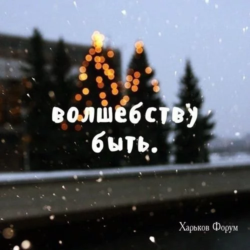4f3855f956bc91e6a.webp
